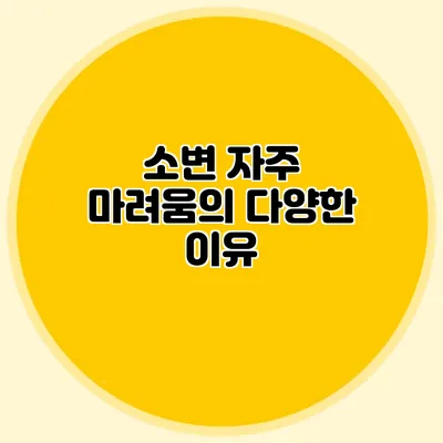 소변 자주 마려움의 다양한 이유