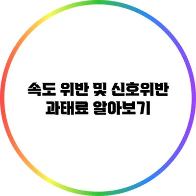 속도 위반 및 신호위반 과태료 알아보기
