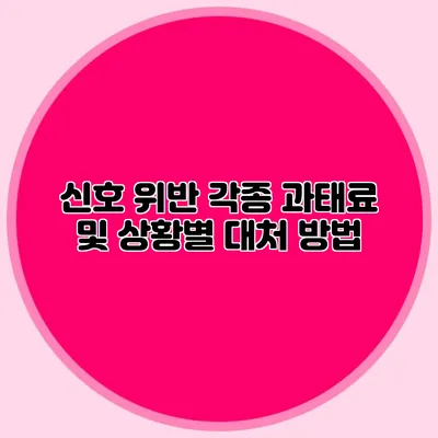 신호 위반 각종 과태료 및 상황별 대처 방법