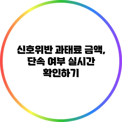 신호위반 과태료 금액, 단속 여부 실시간 확인하기