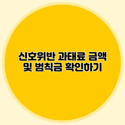 신호위반 과태료 금액 및 범칙금 확인하기