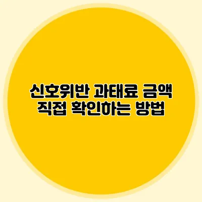 신호위반 과태료 금액 직접 확인하는 방법