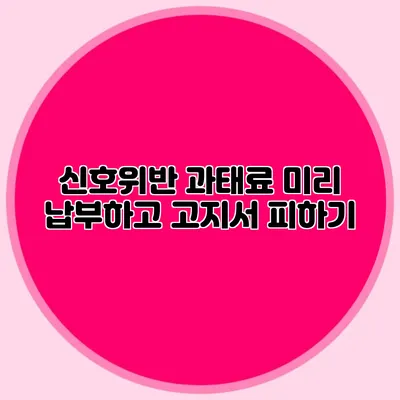 신호위반 과태료 미리 납부하고 고지서 피하기
