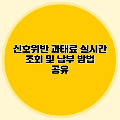 신호위반 과태료 실시간 조회 및 납부 방법 공유