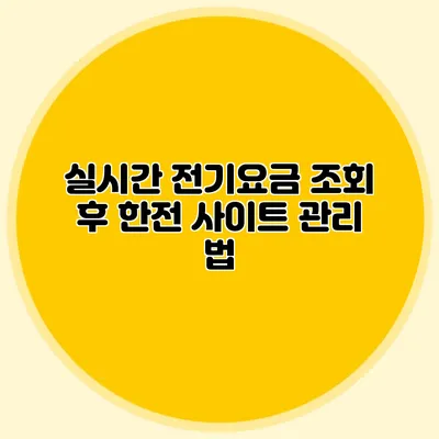 실시간 전기요금 조회 후 한전 사이트 관리 법