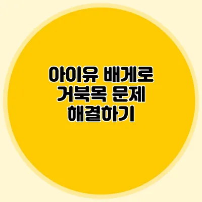 아이유 배게로 거북목 문제 해결하기