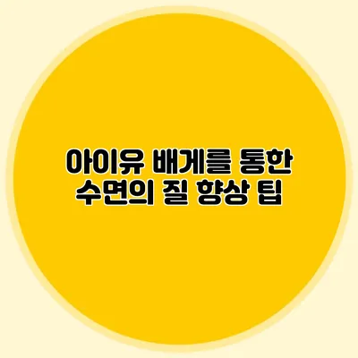아이유 배게를 통한 수면의 질 향상 팁