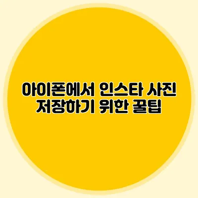 아이폰에서 인스타 사진 저장하기 위한 꿀팁
