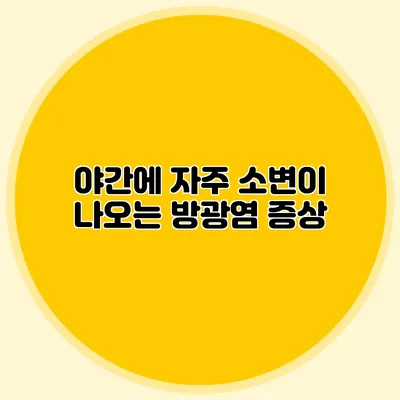 야간에 자주 소변이 나오는 방광염 증상