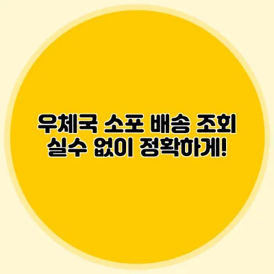 **우체국 소포 배송 조회: 실수 없이 정확하게!**