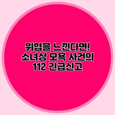 위협을 느낀다면! 소녀상 모욕 사건의 112 긴급신고
