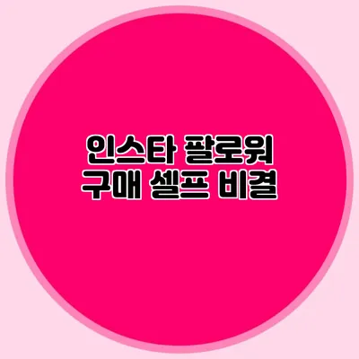 인스타 팔로워 구매 셀프 비결