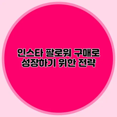 인스타 팔로워 구매로 성장하기 위한 전략