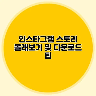 인스타그램 스토리 몰래보기 및 다운로드 팁