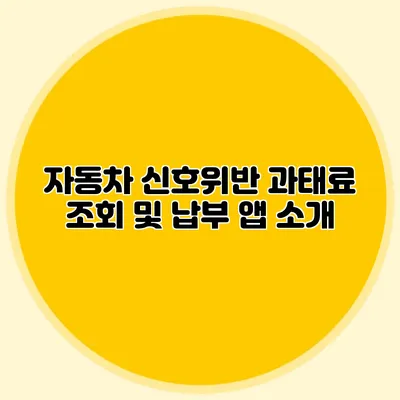 자동차 신호위반 과태료 조회 및 납부 앱 소개