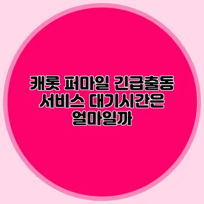 캐롯 퍼마일 긴급출동 서비스 대기시간은 얼마일까?