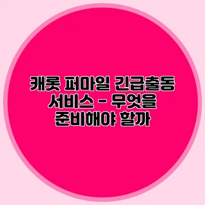 캐롯 퍼마일 긴급출동 서비스 - 무엇을 준비해야 할까?