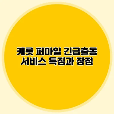 캐롯 퍼마일 긴급출동 서비스 특징과 장점