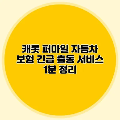 캐롯 퍼마일 자동차 보험 긴급 출동 서비스 1분 정리