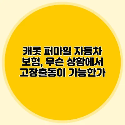 캐롯 퍼마일 자동차 보험, 무슨 상황에서 고장출동이 가능한가?