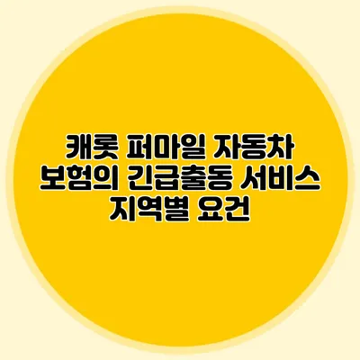 캐롯 퍼마일 자동차 보험의 긴급출동 서비스 지역별 요건
