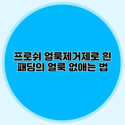 프로쉬 얼룩제거제로 흰 패딩의 얼룩 없애는 법