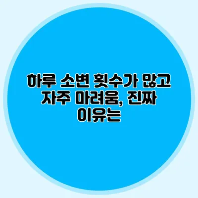 하루 소변 횟수가 많고 자주 마려움, 진짜 이유는?