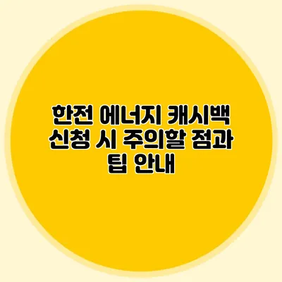 한전 에너지 캐시백 신청 시 주의할 점과 팁 안내