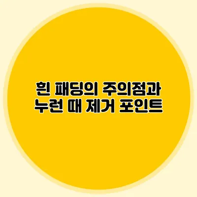 흰 패딩의 주의점과 누런 때 제거 포인트
