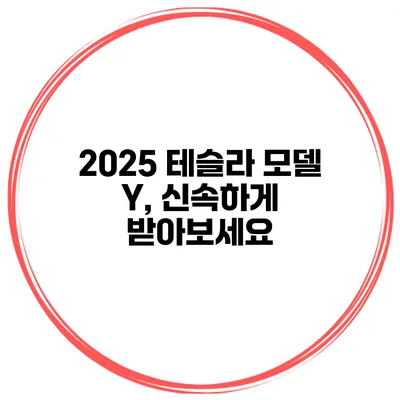 2025 테슬라 모델 Y, 신속하게 받아보세요