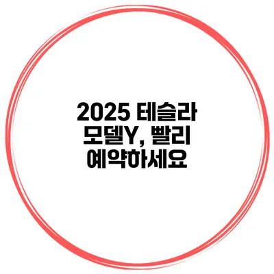 2025 테슬라 모델Y, 빨리 예약하세요
