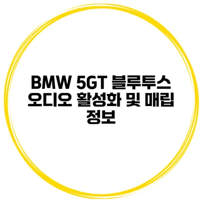 BMW 5GT 블루투스 오디오 활성화 및 매립 정보