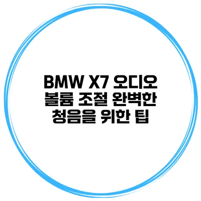 BMW X7 오디오 볼륨 조절 완벽한 청음을 위한 팁