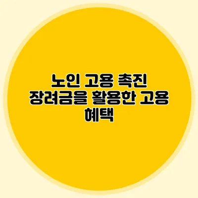 노인 고용 촉진 장려금을 활용한 고용 혜택