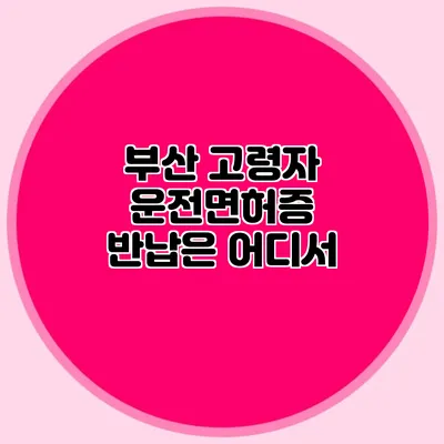 부산 고령자 운전면허증 반납은 어디서?