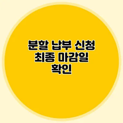 분할 납부 신청 최종 마감일 확인