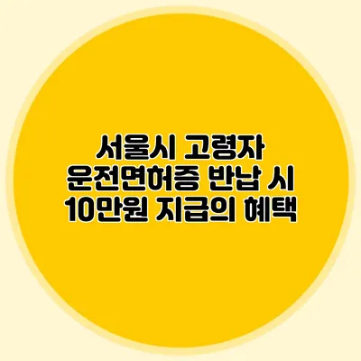 서울시 고령자 운전면허증 반납 시 10만원 지급의 혜택