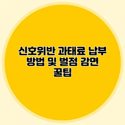 신호위반 과태료 납부 방법 및 벌점 감면 꿀팁