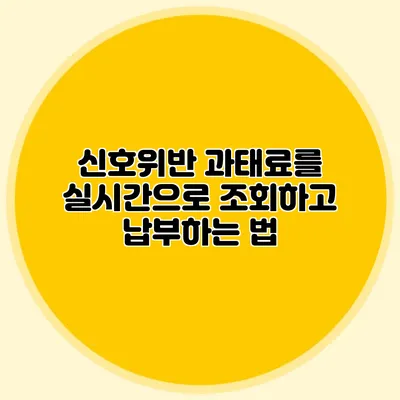 신호위반 과태료를 실시간으로 조회하고 납부하는 법