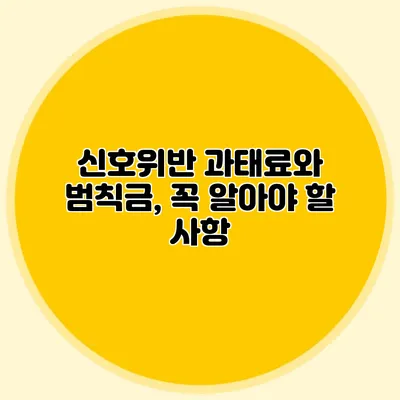 신호위반 과태료와 범칙금, 꼭 알아야 할 사항