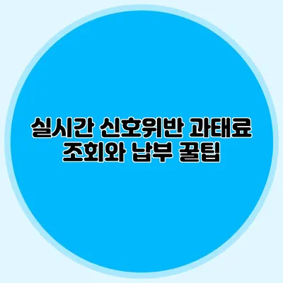 실시간 신호위반 과태료 조회와 납부 꿀팁