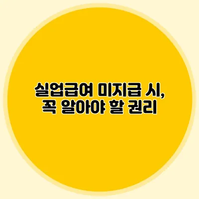 실업급여 미지급 시, 꼭 알아야 할 권리