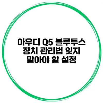 아우디 Q5 블루투스 장치 관리법 잊지 말아야 할 설정