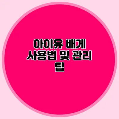 아이유 배게 사용법 및 관리 팁