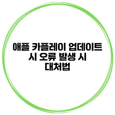 애플 카플레이 업데이트 시 오류 발생 시 대처법