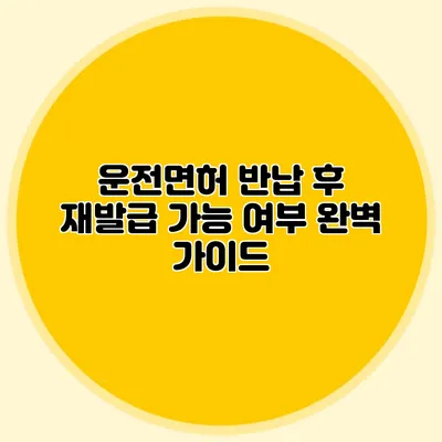 운전면허 반납 후 재발급 가능 여부 완벽 가이드