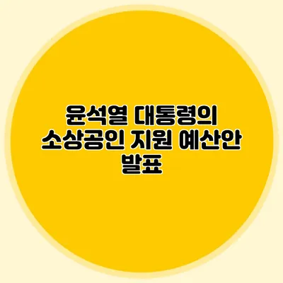 윤석열 대통령의 소상공인 지원 예산안 발표