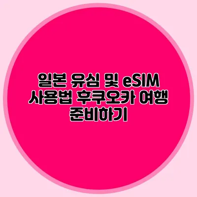 일본 유심 및 eSIM 사용법: 후쿠오카 여행 준비하기
