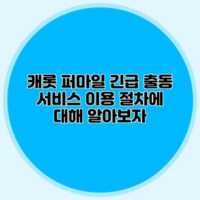 캐롯 퍼마일 긴급 출동 서비스 이용 절차에 대해 알아보자