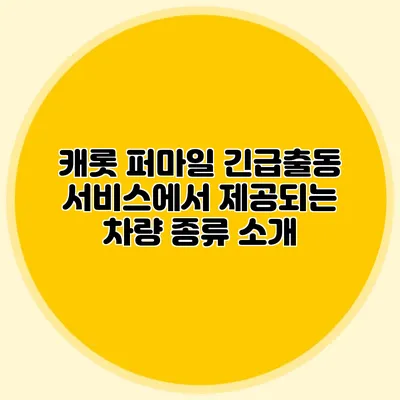 캐롯 퍼마일 긴급출동 서비스에서 제공되는 차량 종류 소개